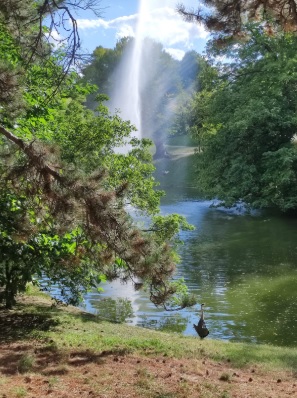 El parque donde escribía, Türkenschanzpark