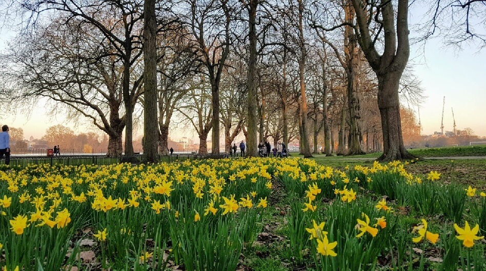 Primavera en Londres... El mejor plan para viajar