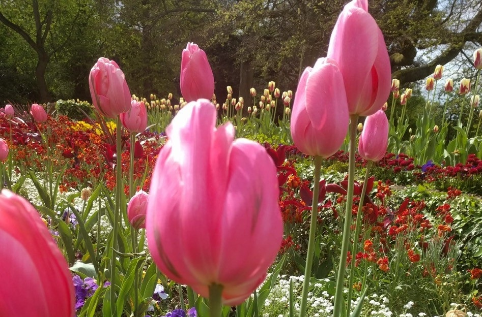 Primavera en Londres... El mejor plan para viajar