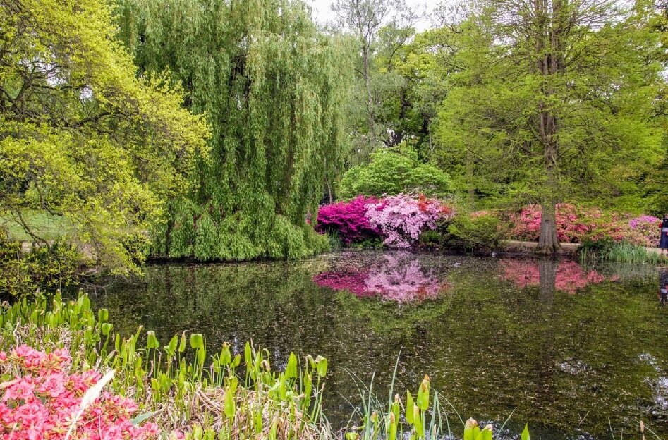 Primavera en Londres... El mejor plan para viajar